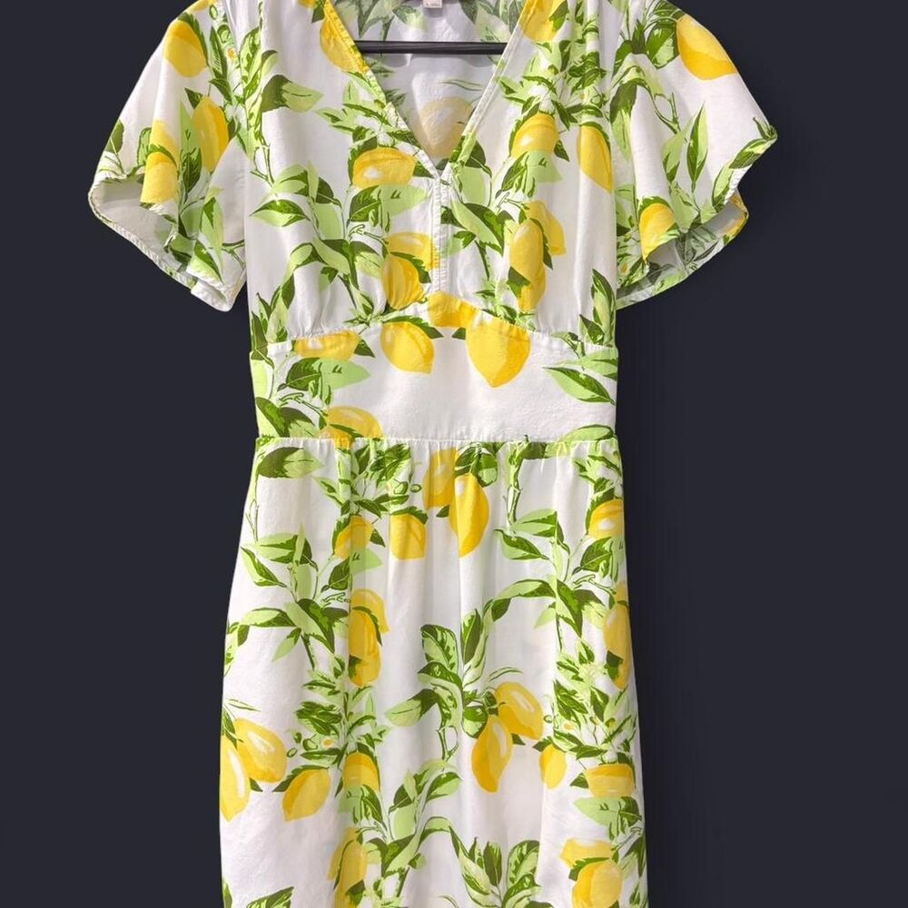 Loft Women's multi Dress